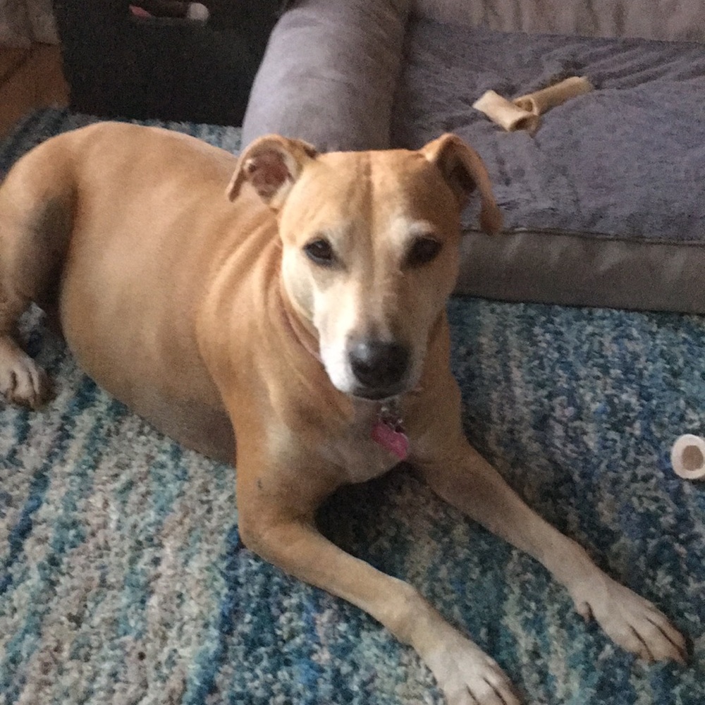 Meet your Posher, Linda